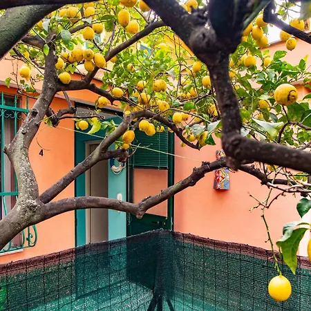 Rivierarent Bettina Daire *